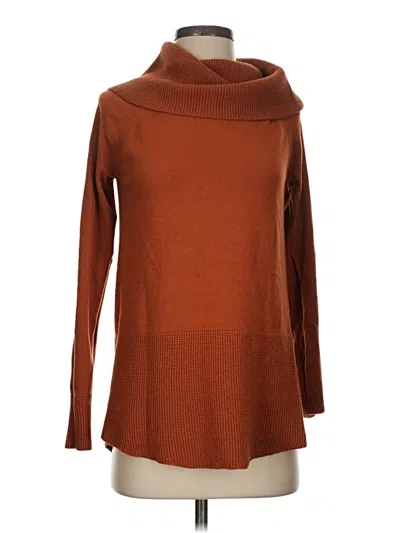Pre-owned Cyrus Turtleneck Sweater In Brown