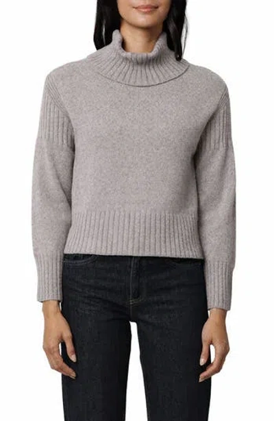 Cyrus Turtleneck Sweater In Gray