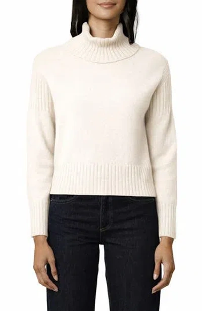 Cyrus Turtleneck Sweater In White