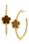 Cz By Kenneth Jay Lane Pavé Clover Hoop Earrings In Tiger Eye/gold