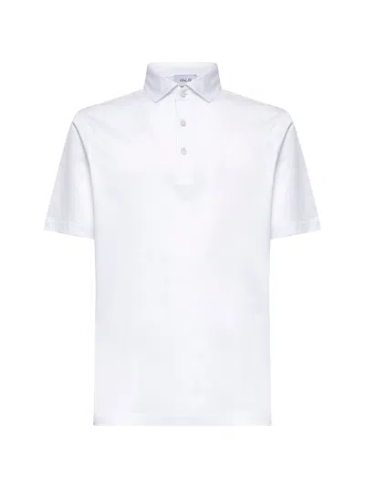 D 4.0 Lisle Jersey Cotton Polo Shirt In White