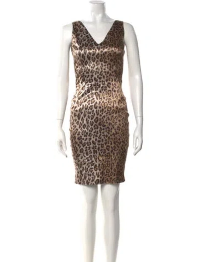 Pre-owned D&g Animal Print Mini Dress In Neutral