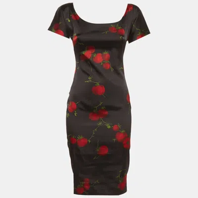 Pre-owned D & G Black Fruits Print Satin Sheath Dress M