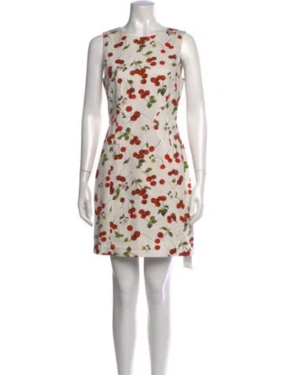 Pre-owned D&g Floral Print Mini Dress In Neutrals