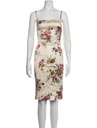 Pre-owned D&g Silk Knee-length Dress In Neutrals