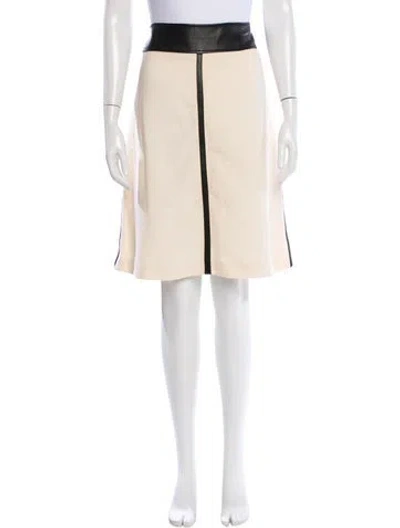 Pre-owned D&g Wool Knee-length Skirt In Neutral