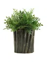 D&w Silks 19in Green Locust Spray In Oval Ceramic Planter
