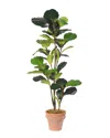 D&w Silks 48in Fiddle Leaf Fig Tree In Terra Cotta Planter In Green