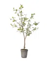 D&w Silks 48in Tree In Round Stone Planter In Green