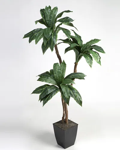 D&w Silks 6ft Bird Nest Palm In Square Metal Planter In Green