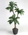 D&w Silks 6ft Bird Nest Palm In Square Metal Planter