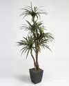 D&w Silks 6ft Dracaena Tree In Square Metal Planter