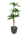 D&w Silks 7ft Birdnest Palm In Square Metal Planter In Green