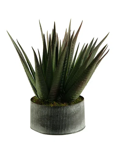 D&w Silks Agave Plant In Round Tin Planter In Green