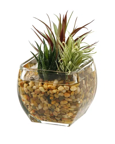 D&w Silks Aloe And Easter Grass In Glass Cube In Green