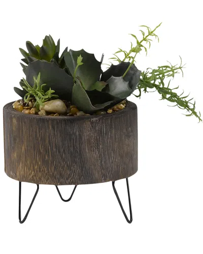 D&w Silks Assorted Succulents In Round Wooden Planter With Wire Legs In Brown