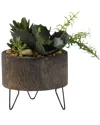 D&w Silks Assorted Succulents In Round Wooden Planter With Wire Legs