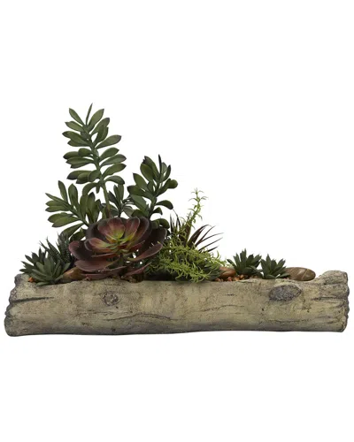 D&w Silks Assorted Succulents On Cement Log In Multi