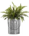 D&w Silks Boston Fern In Oval Metal Bucket With Wire Handle