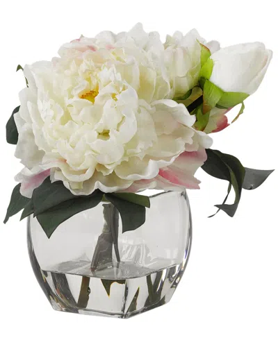 D&w Silks Cream Peonies In Glass Cube In Multi