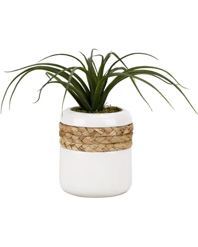 D&w Silks Curly Tillandsia In Round Ceramic Planter Wrapped In Rope