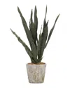 D&w Silks Dark Green Mother In Lawfts Tongue In Cement Oak Planter