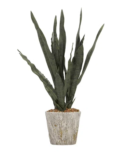 D&w Silks Dark Green Mother In Lawfts Tongue In Cement Oak Planter