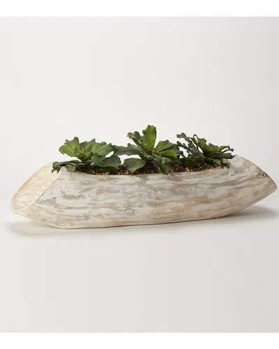 D&w Silks Double Ruffle Echeveria In White Wash Wooden Log