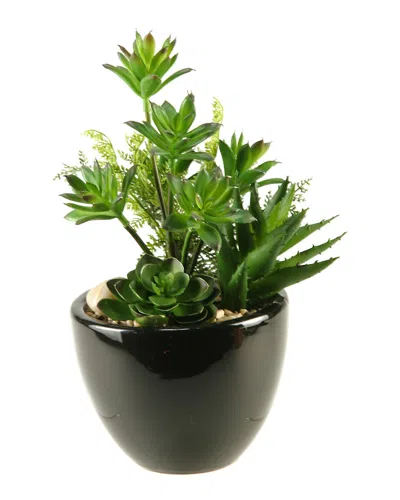 D&w Silks Dracaena, Aloe And Echeveria In Round Ceramic Planter