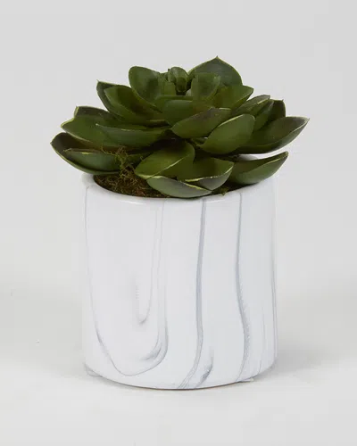 D&w Silks Dw Silks Floral Arrangement In White