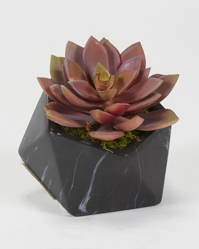 D&w Silks Dw Silks Floral Arrangement In Brown