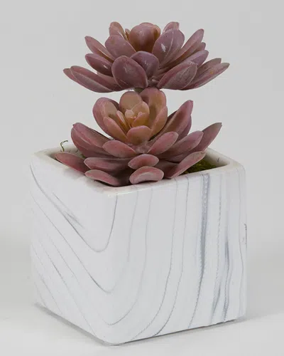 D&w Silks Dw Silks Floral Arrangement In White