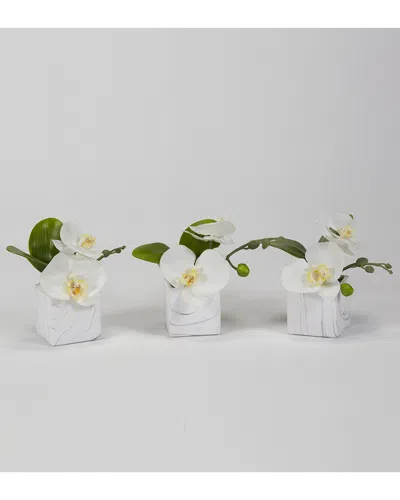D&w Silks Dw Silks Floral Arrangement In White