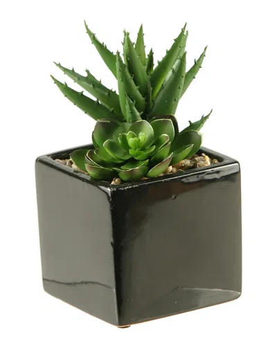 D&w Silks Echeveria And Aloe In Square Ceramic Planter In Green