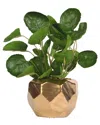 D&w Silks Eucalyptus In Gold Geometric Planter In Green