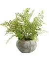 D&w Silks Flat Iron Fern In Concrete Bowl