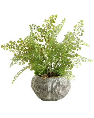 D&w Silks Flat Iron Fern In Concrete Bowl