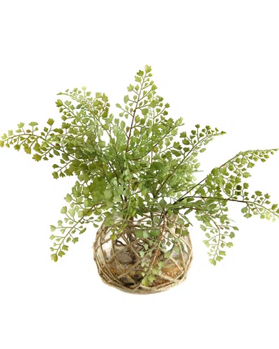 D&w Silks Flat Iron Fern In Glass Bowl With Seagrass Netting
