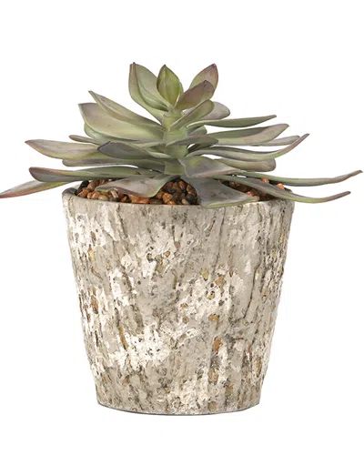 D&w Silks Frosted Echeveria In Cement Pot