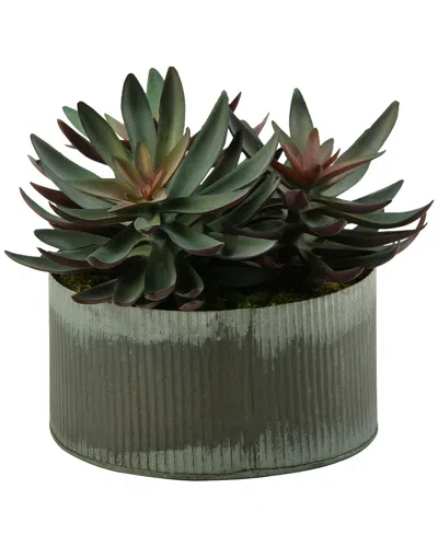 D&w Silks Frosted Green Echeveria In Round Zinc Planter