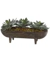 D&w Silks Frosted Green Echeveria In Wooden Dough Bowl