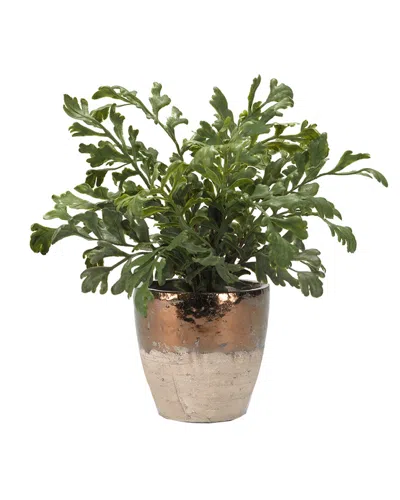 D&w Silks Harefoot Fern In Rustic Ceramic Planter In Green
