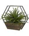D&w Silks Heather Fern In Hexagon Wood/metal Wall Sconce