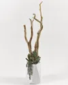D&w Silks , Inc 5ft Ghostwood With Succulents And Greenery In White Resin Planter