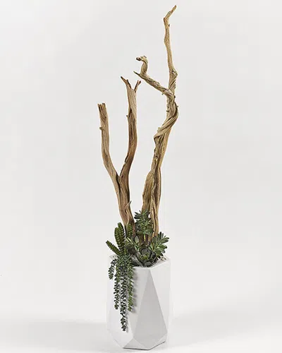 D&w Silks , Inc 5ft Ghostwood With Succulents And Greenery In White Resin Planter