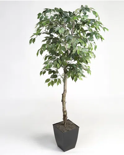 D&w Silks Inc 6ft Ficus Tree In Square Metal Planter In Green