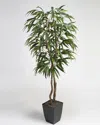 D&w Silks , Inc 6ft Weeping Ficus Tree In Square Metal Planter