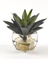 D&w Silks , Inc Aloe Plant In Glass Cube