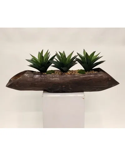 D&w Silks , Inc Aloe Plants In Wooden Log