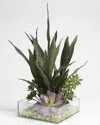 D&w Silks , Inc Mother In Lawfts Tounge With Assorted Succulents In Glass Square